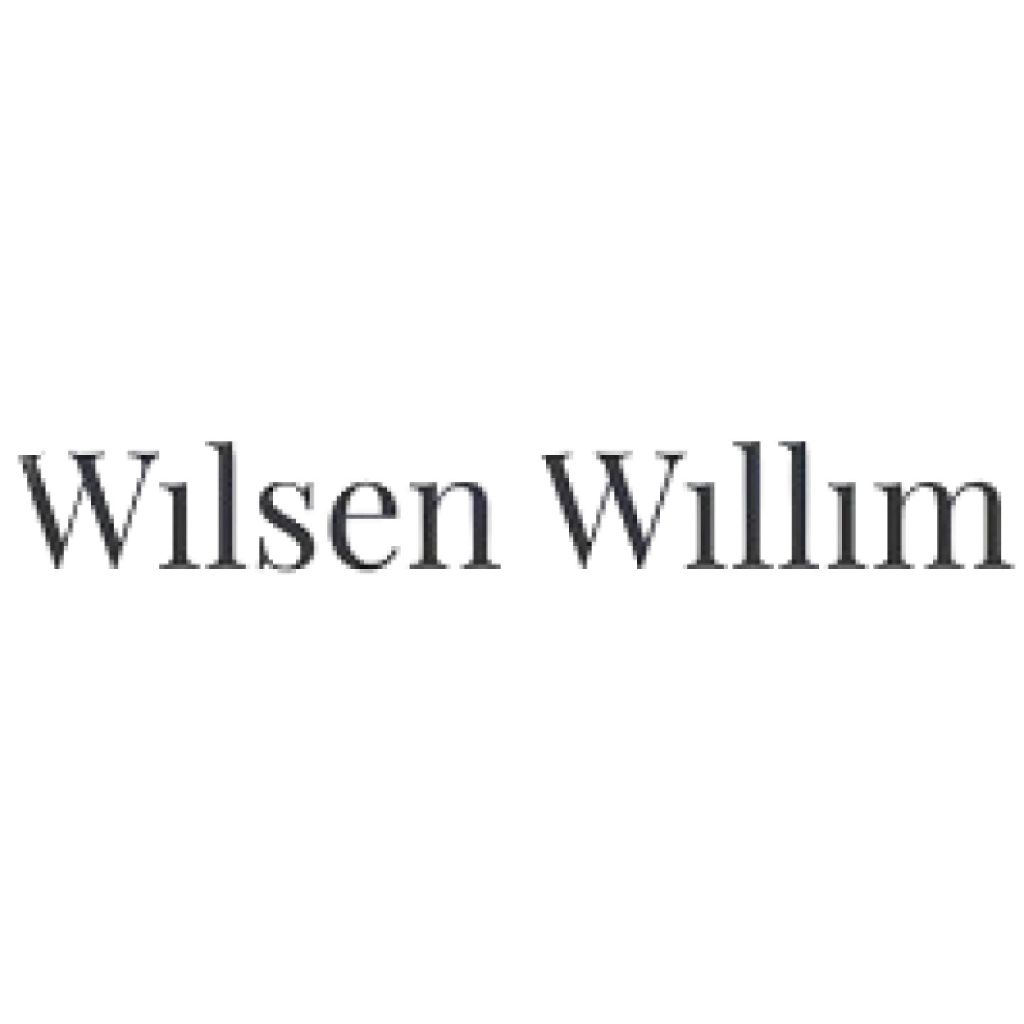 partner-wilsen-willim-image-alt